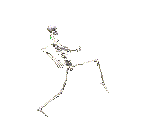 skelett_1